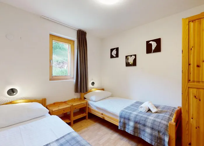 Pracondu 2 208 - Outdoor & Fun Charming Nendaz